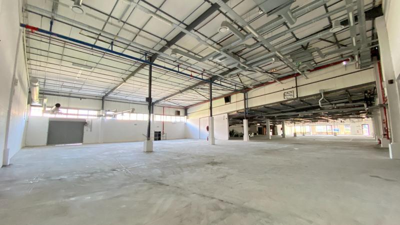 To Let commercial Property for Rent in Observatory Western Cape